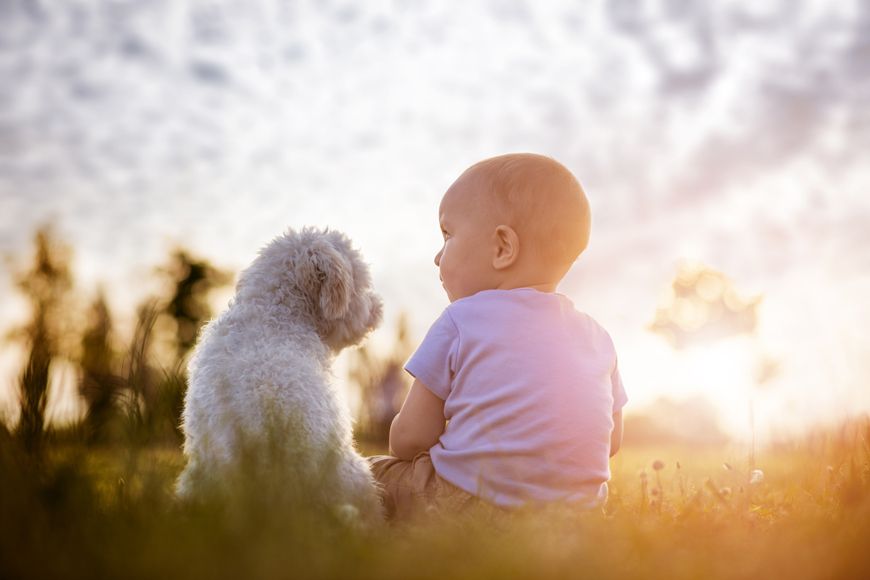 Children and Pets: The Benefits of Growing Up With Them