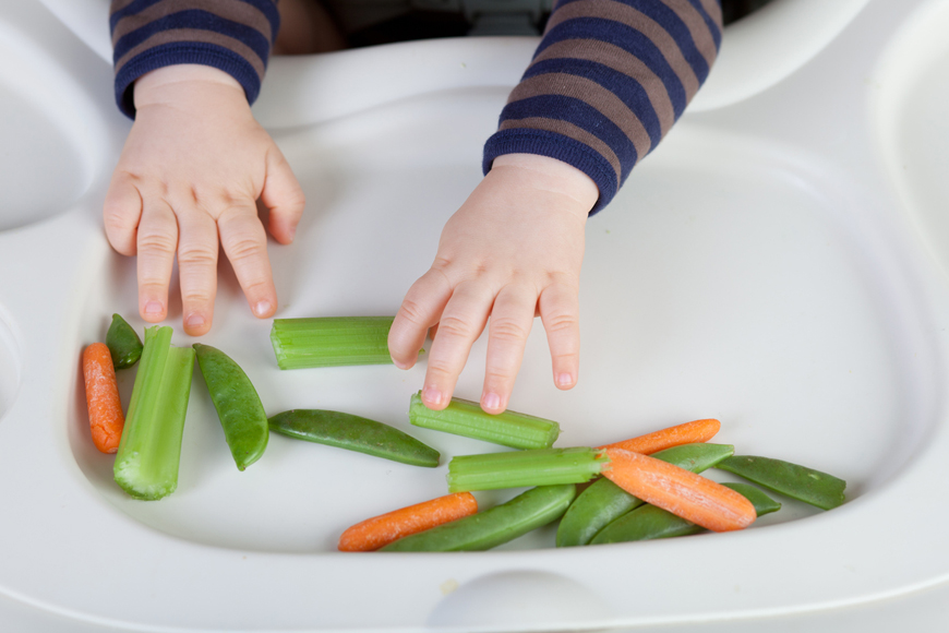 The Hazards of Finger Foods for Babies