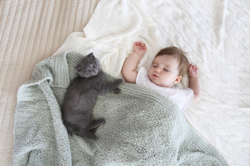 A Parent Guide to Introducing Your Pet to Your Newborn Baby