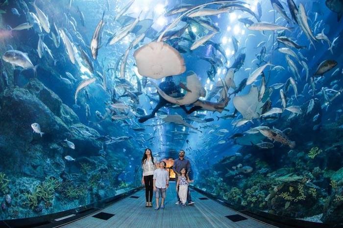 Dubai Aquarium and Underwater Zoo Dubai Aquarium and Underwater Zoo
