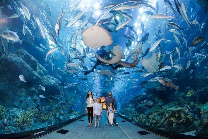 Dubai Aquarium and Underwater Zoo 