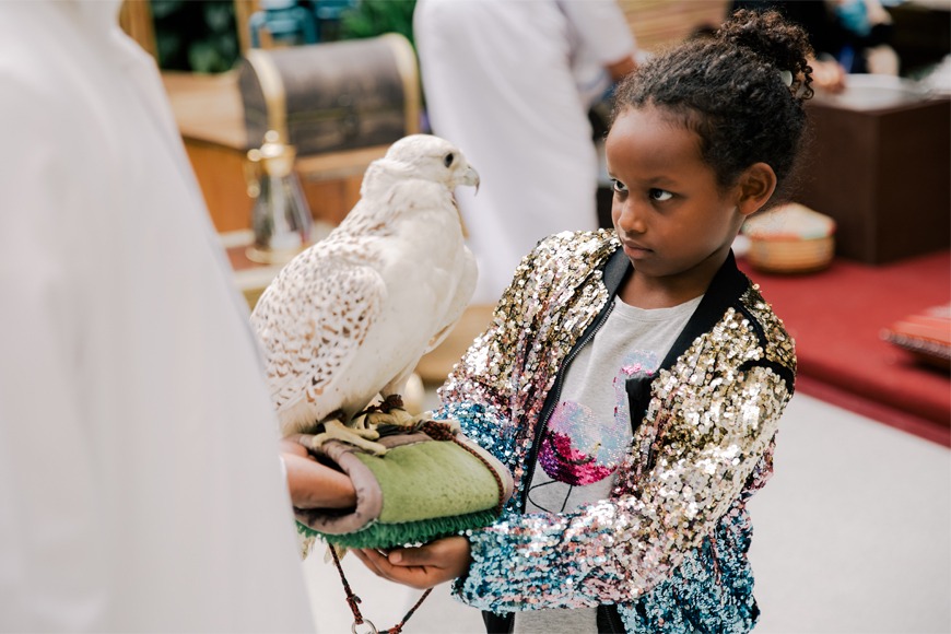Hold a real Falcon Hold a real Falcon