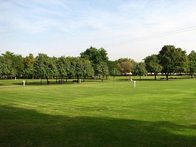 Top 5 Family-Friendly Parks In Dubai You Must Visit Top 5 Family-Friendly Parks In Dubai You Must Visit