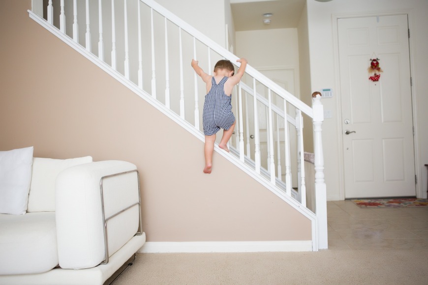 toddler toddler