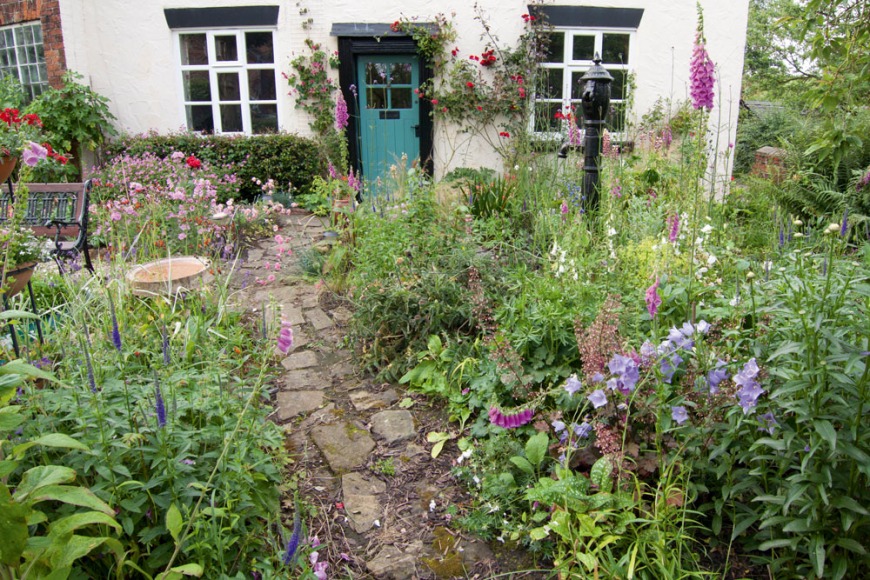 What might be hiding in your garden? What might be hiding in your garden?
