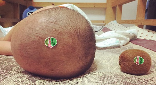 Why Dads Shouldn't Be Left Alone With Children - in Pictures 