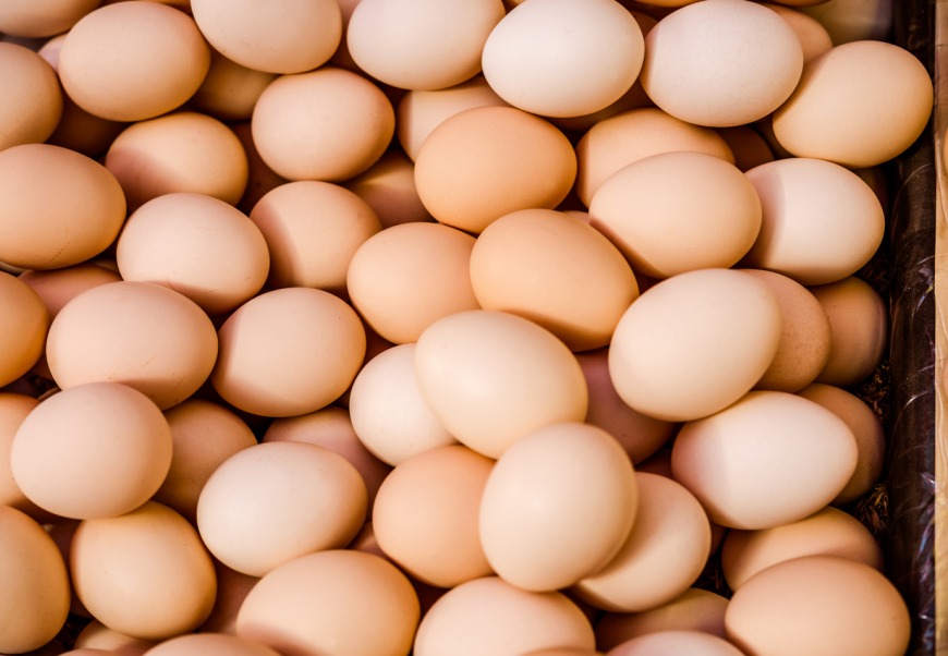 Eggs for conceiving Eggs for conceiving