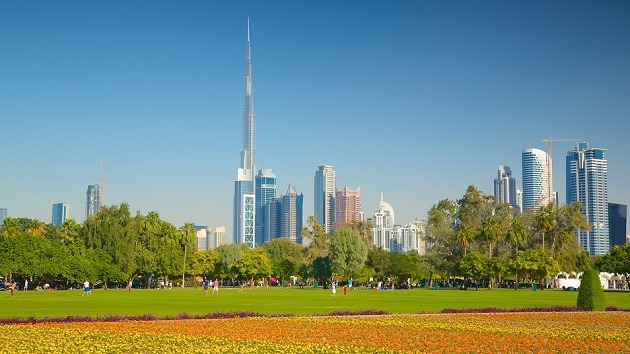 Top 5 Family-Friendly Parks In Dubai You Must Visit Top 5 Family-Friendly Parks In Dubai You Must Visit