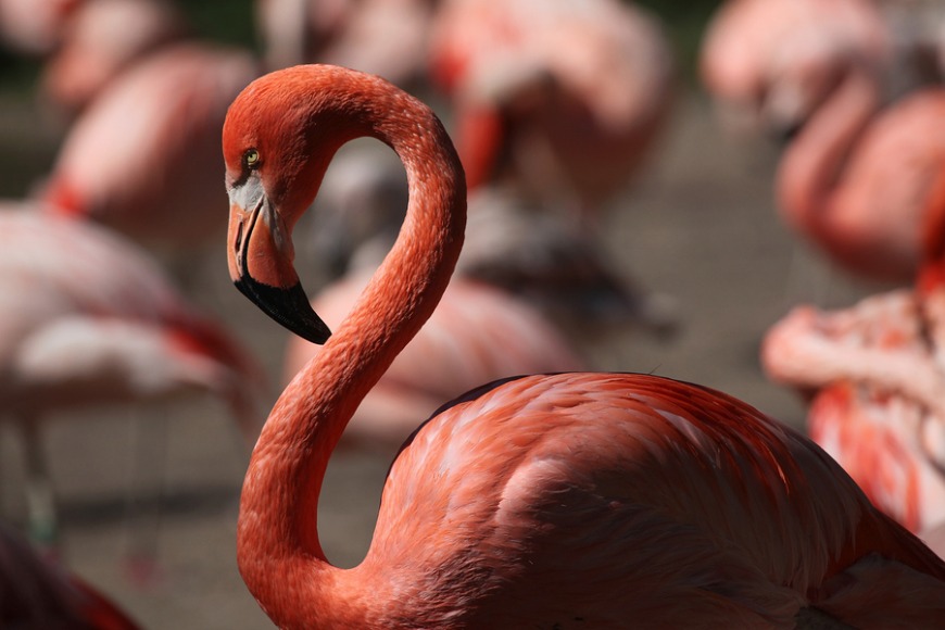 10 Alternatives to Summer Camp in Dubai 10 Alternatives to Summer Camp in Dubai