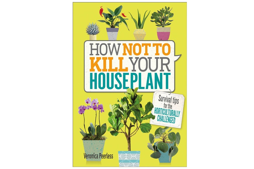 How Not to Kill Your Houseplant: Survival Tips for the Horticulturally Challenged