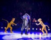 Disney On Ice Presents Passport To Adventure: What To Expect 