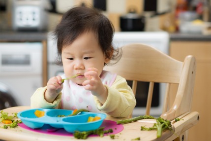  Best Feeding Schedule For Toddlers