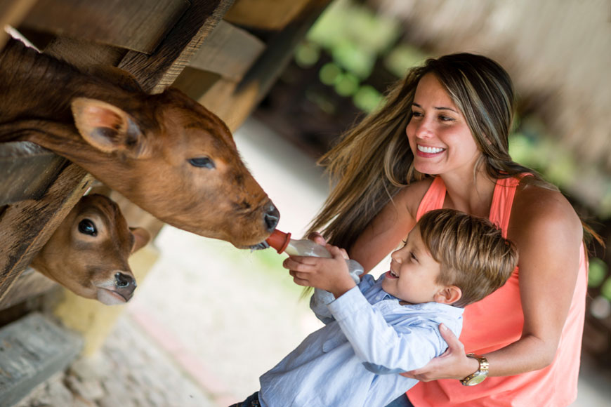 Top 5 Kids-Friendly Animals Adventures in Dubai 